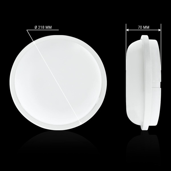 Накладной светильник Biom SMPL 220V 20W 6000K 1800Lm IP65 Матовый (Frosted) (SMPL-R20-6), 100017819