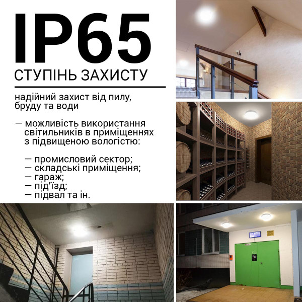 Накладной светильник Biom SMPL 220V 20W 6000K 1800Lm IP65 Матовый (Frosted) (SMPL-R20-6), 100017819