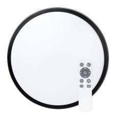 Накладной светильник Biom SMART 220V 50W 3000-6000K 3800Lm IP20 Матовый (Frosted) (SML-R40-50/2)
