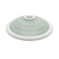 Потолочный светильник KANLUX Fogler DL-240O (18120)