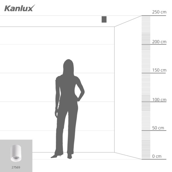 Точечный светильник KANLUX RITI GU10 W/W (27569), 100024813