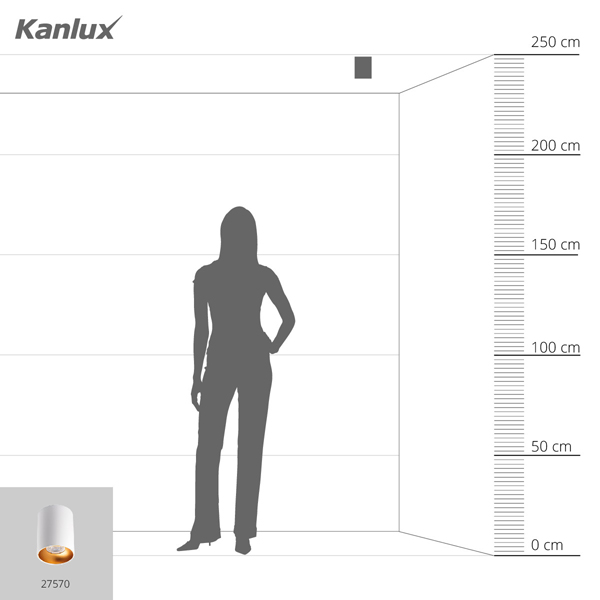 Точечный светильник KANLUX RITI GU10 W/G (27570), 100024558