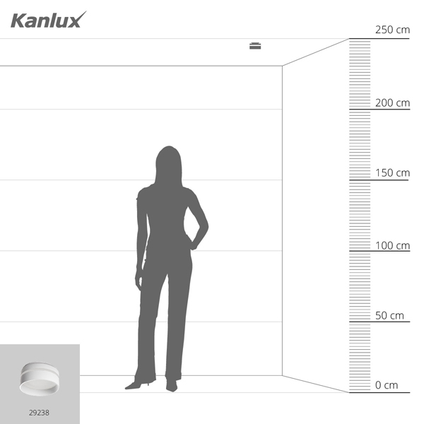 Точечный светильник KANLUX GOVIK-ST DSO-W (29238), 100024716