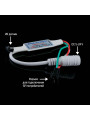 Контроллер SPI OEM Dream Color 12-24V RF пульт д/у 21 кнопка (SPI-RF-21), 100012216
