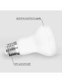Светодиодная лампа Biom R63 9W 810Lm 4500K 220V E27 Frosted (BT-556), 100012234