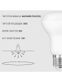 Светодиодная лампа Biom R63 9W 810Lm 4500K 220V E27 Frosted (BT-556), 100012234
