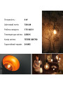 Светодиодная лампа Biom филамент G95 8W 720Lm 2300-2500K 220V E27 Clear (Amber) (FL-420), 100013458