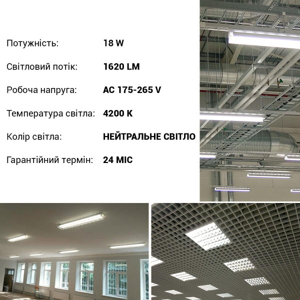Светодиодная лампа Biom T8 18W 1620Lm 4200K 220V G13 Frosted (T8-GL-1200-18W-4200), 100001462