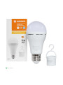 Светодиодная лампа LEDVANCE LED Classic With Added Function A60 8W 806Lm 6500K 230V E27 Матовый (Frosted) (4099854102431), 100024082