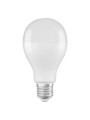 Светодиодная лампа OSRAM LED Classic Performance A65 19W 2452Lm 2700K 230V E27 Матовый (Frosted) (4058075245976), 100024089
