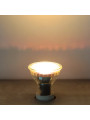 Светодиодная лампа PHILIPS Essential LED 4,6-50W GU10 827 PAR16 36D (929001215208), 100012649