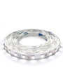 Светодиодная лента BIOM Professional 60-5050-12V-IP20 14,4W 2100Lm 6000-6500К 5м (BPS-G3-12-5050-60-CW), 100014502
