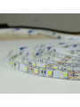 Светодиодная лента BIOM Professional 60-5050-12V-IP20 14,4W 2100Lm 6000-6500К 5м (BPS-G3-12-5050-60-CW), 100014502
