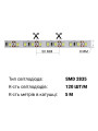 Светодиодная лента BIOM Professional 2835-120-24V-IP20 13,5W 1950Lm 7500-8000K 5м (BPS-G3-24-2835-120-CW-20), 100021038