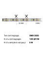 Светодиодная лента BIOM Professional 2835-120-24V-IP20 13,5W 1950Lm 4000-4500K 5м (BPS-G3-24-2835-120-NW-20), 100018558