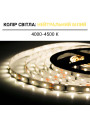 Светодиодная лента BIOM Professional 2835-60-24V-IP20 6,5W 940Lm 4000-4500K 5м (BPS-G3-24-2835-60-NW-20), 100022070