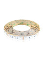 Светодиодная лента Mi-light 5050-60 Dual White LED Strip 12V (MI-LED-DW60CCT1220), 100014041