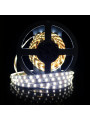 Светодиодная лента Mi-light 5050-60 Dual White LED Strip 12V (MI-LED-DW60CCT1220), 100014041