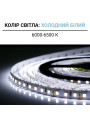 Светодиодная лента OEM ST 120-2835-12V-IP20 9W 915Lm 6000-6500К 5м (ST-12-2835-120-V2-CW), 100014478