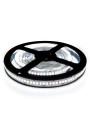 Светодиодная лента OEM ST 240-2835-12V-IP20 20W 2300Lm 6000-6500К 5м (ST-12-2835-240-CW), 100014371