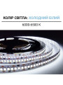 Светодиодная лента OEM ST 240-2835-12V-IP20 20W 2300Lm 6000-6500К 5м (ST-12-2835-240-CW), 100014371