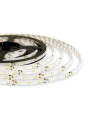 Светодиодная лента OEM ST 60-2835-12V-IP65 4,8W 300Lm Blue 5м (ST-12-2835-60-B), 100015099