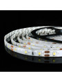 Светодиодная лента OEM ST 60-2835-12V-IP65 4,8W 450Lm 6000-6500К 5м (ST-12-2835-60-CW), 100014476