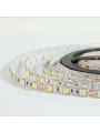 Светодиодная лента OEM ST 60-5050-12V-IP20 14,4W 900Lm 6000-6500К 5м (ST-12-5050-60-V2-CW), 100014488