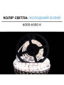 Светодиодная лента OEM ST 60-5050-12V-IP65 14,4W 900Lm 6000-6500К 5м (ST-12-5050-60-CW), 100014491