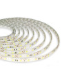 Світлодіодна стрічка OEM ST 5050-60-12V-IP65 14,4W 900Lm RGB 5м (ST-12-5050-60-RGB-65) , 100015304