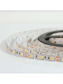 Светодиодная лента OEM ST 60-5050-12V-IP20 14,4W 900Lm 2800-3200К 5м (ST-12-5050-60-V2-WW), 100014489