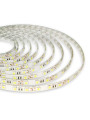 Светодиодная лента OEM ST 60-5050-12V-IP65 14,4W 900Lm 2800-3200К 5м (ST-12-5050-60-WW), 100014492