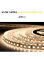 Светодиодная лента OEM ST 2835-120-24V-IP20 9,6W 960Lm 4500K 5м (ST-24-2835-120-NW-V2), 100015427
