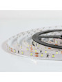 Светодиодная лента OEM ST 2835-60-24V-IP20 4,8W 480Lm 4500K 5м (ST-24-2835-60-NW-V2), 100011983