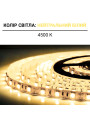 Светодиодная лента OEM ST 5050-60-24V-IP20 14,4W 900Lm 4000-4500K 5м (ST-24-5050-60-NW-V2), 100015428