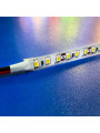 Світлодіодна стрічка OEM ST 2835-120-12V-IP20 9W 915Lm 2800-3200K 50м (ST-50-12-2835-120-WW-20) , 100022568