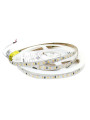 Светодиодная лента RISHANG 120-2835-24V-IP20 8,6W 745Lm 3000К 5м (RD08C0TC-B-WW), 100022381